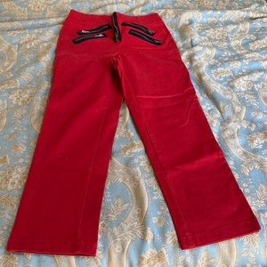 Urban outfitters brand silence is noise red straight leg cargo pants.